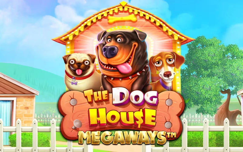 Tavoittele valtavia voittoja The Dog House Megaways -pelissä 1w-sivustolla.